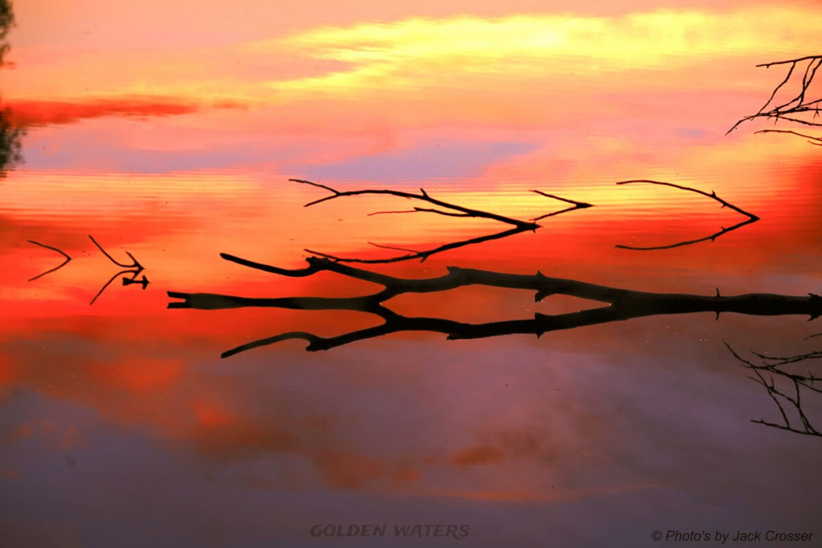 img 2841 golden waters 2