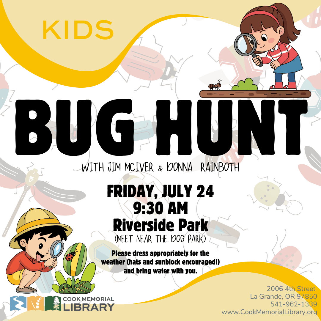 mi kids social media website (16)